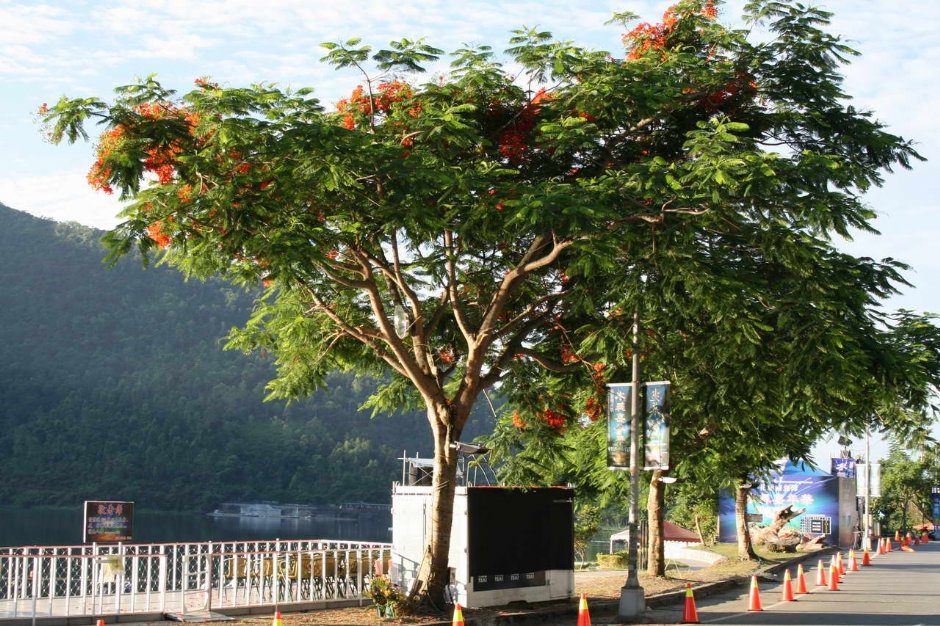 湖邊風景 攝影：老山羊部落格