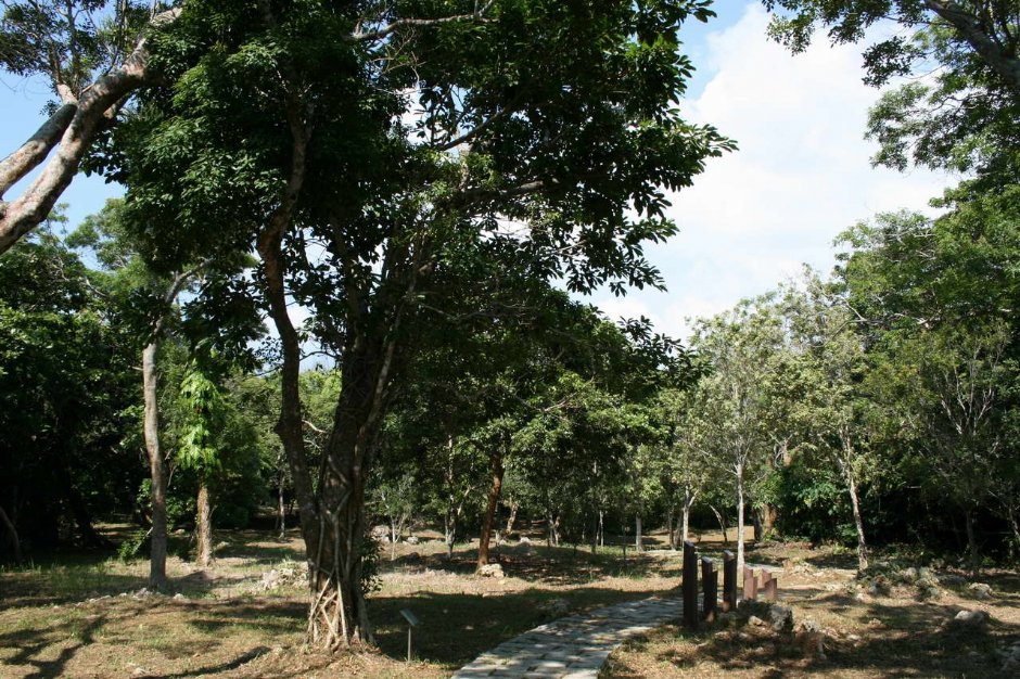 步道 攝影：老山羊部落格