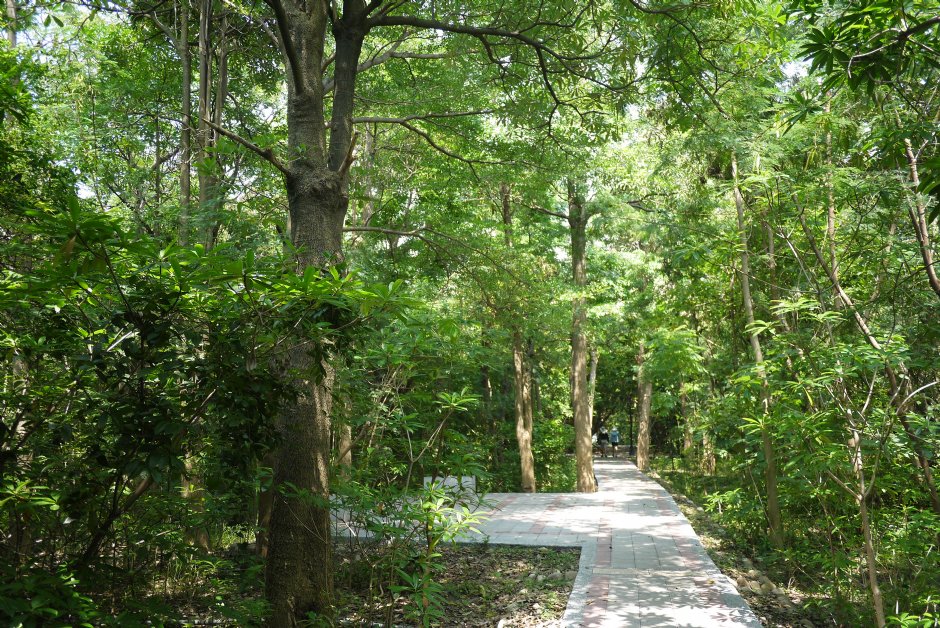 原生植物園 攝影：三井