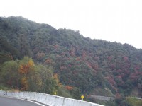新中橫公路<br/> 攝影：Eva隨手拍