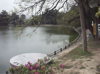 湖畔 攝影：郭香妙