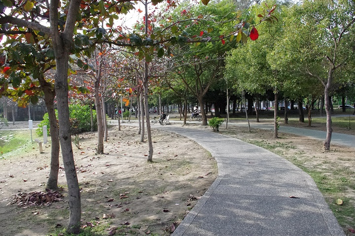 中央公園 攝影：Eva隨手拍