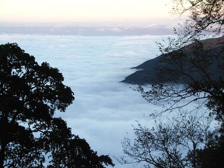 雲海翻騰 攝影：范啟敏