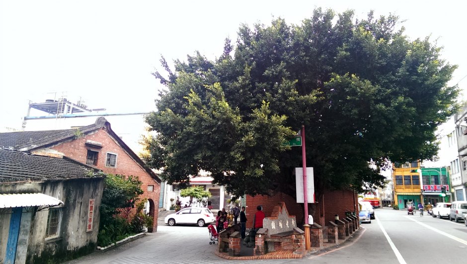 南門福德祠及一旁的財神龜公園與老樹 攝影：Eva隨手拍