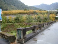 小橋<br/> 攝影：楓林農場