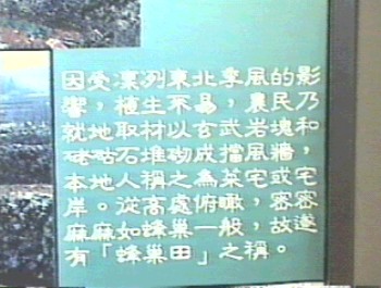 蜂巢田之源由 攝影：簡時強