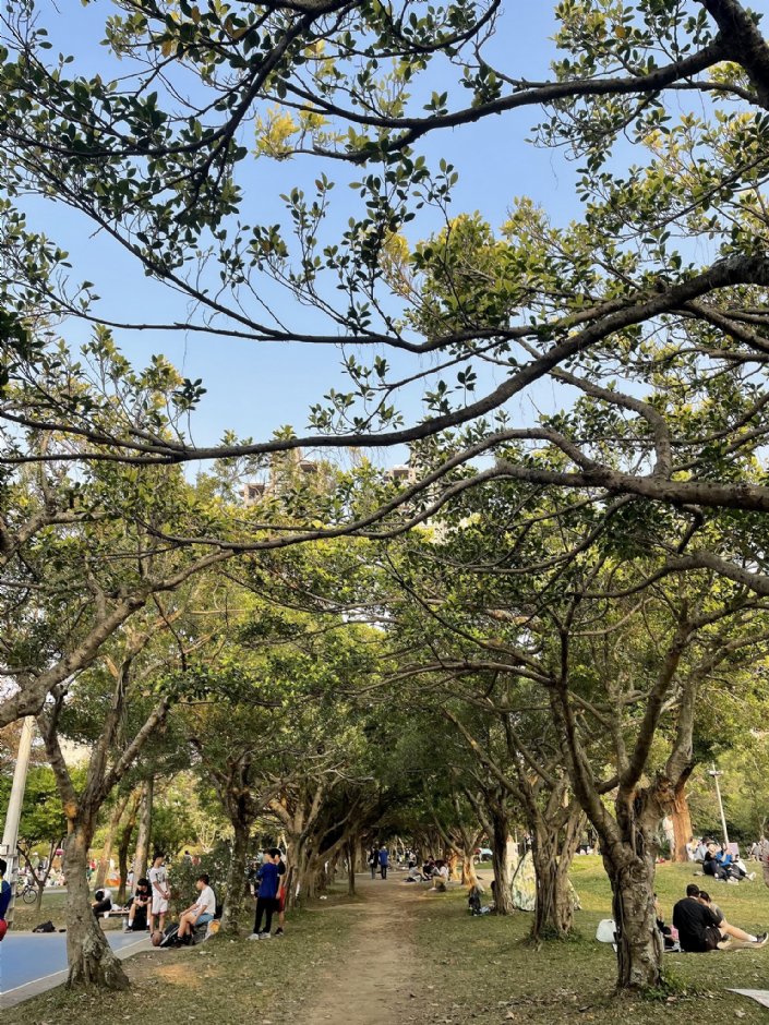 大安森林公園 攝影：Eva隨手拍