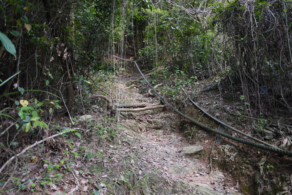 尾寮山步道 攝影：旅遊王攝影組