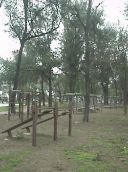 體能鍛鍊區 攝影：郭香妙