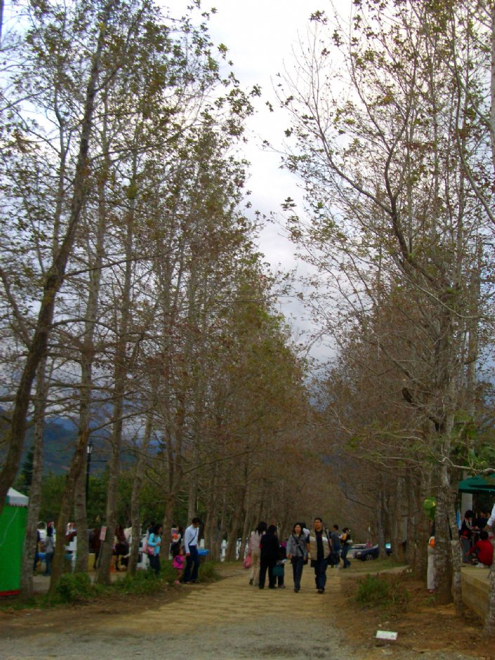 情人步道 攝影：鄭惠文