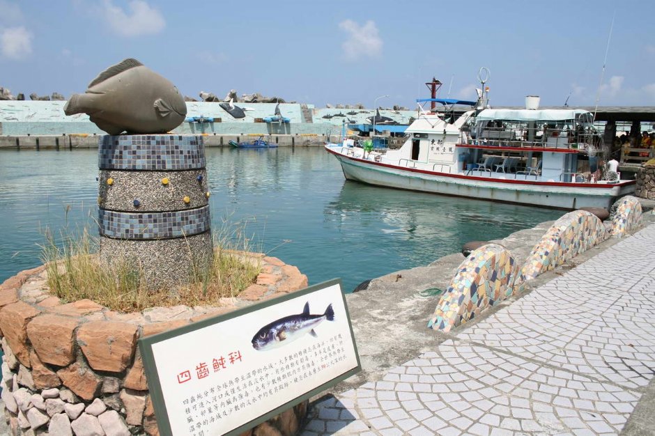 四齒魨 攝影：老山羊部落格