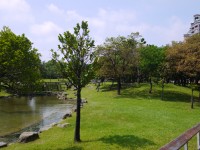 原生植物園<br/> 攝影：三井