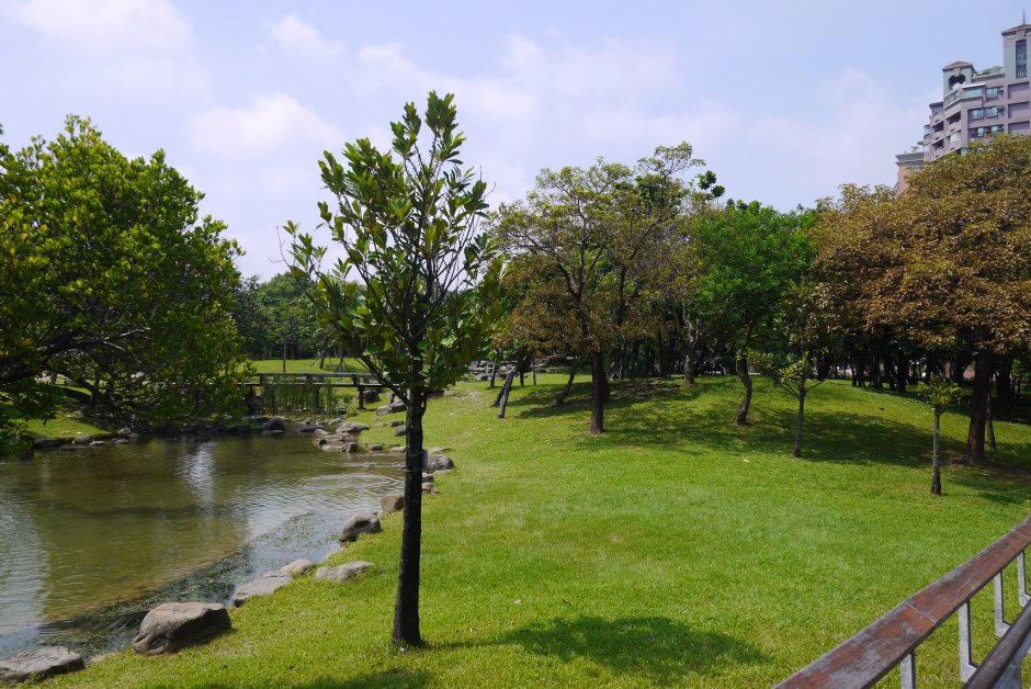 原生植物園 攝影：三井