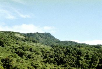 美麗山巒 攝影：呂玫瑢