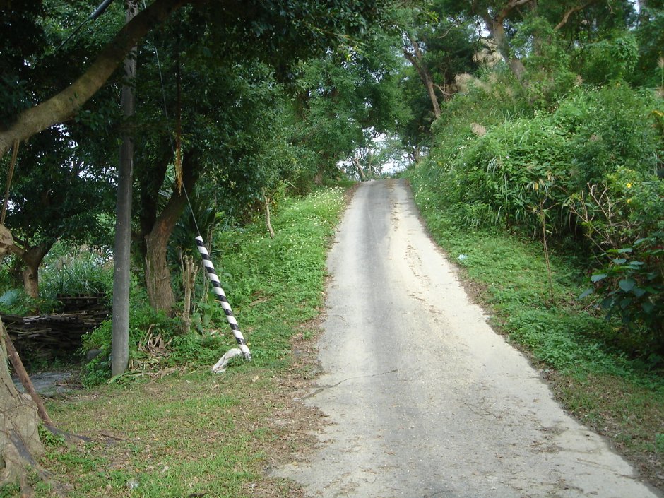 砲台山步道 攝影：余燕鳳