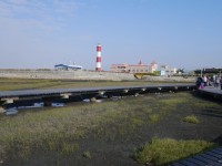 高美濕地2015<br/> 攝影：旅遊王攝影組