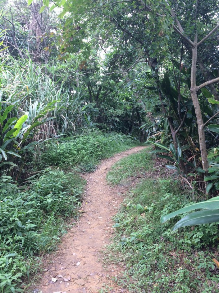 福州山公園 攝影：Eva隨手拍