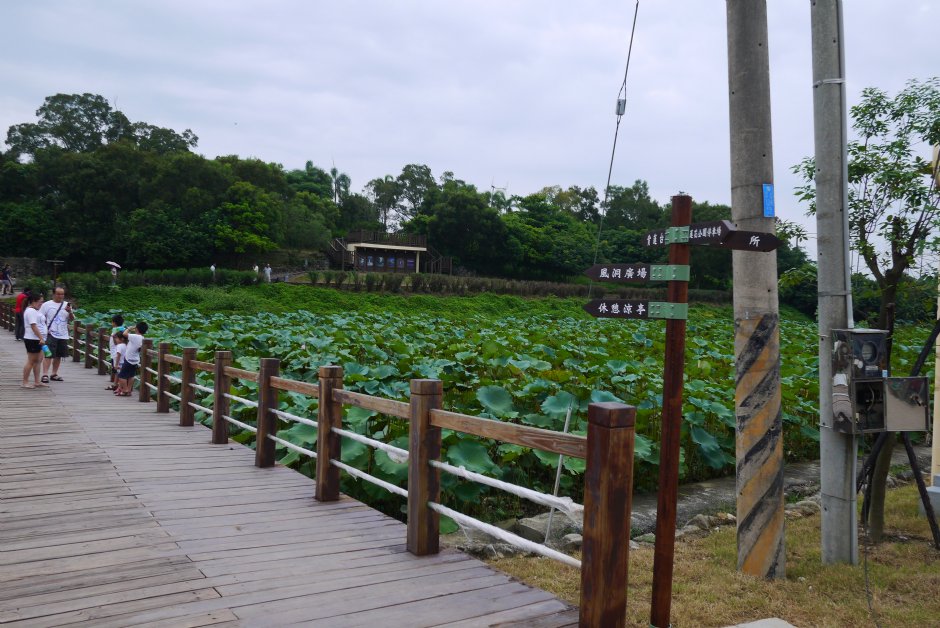 台南白河蓮花公園 攝影：三井