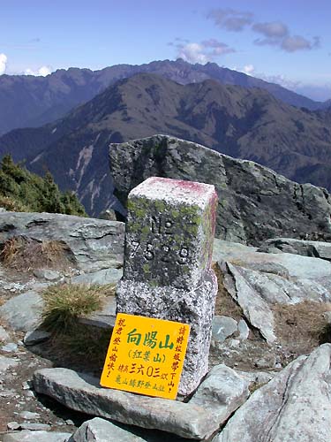 向陽山頂 攝影：阿英的登山小站
