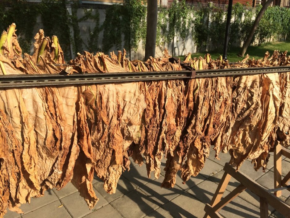 太平買菸場 攝影：Eva隨手拍