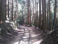 特富野古道<br/> 攝影：Lu