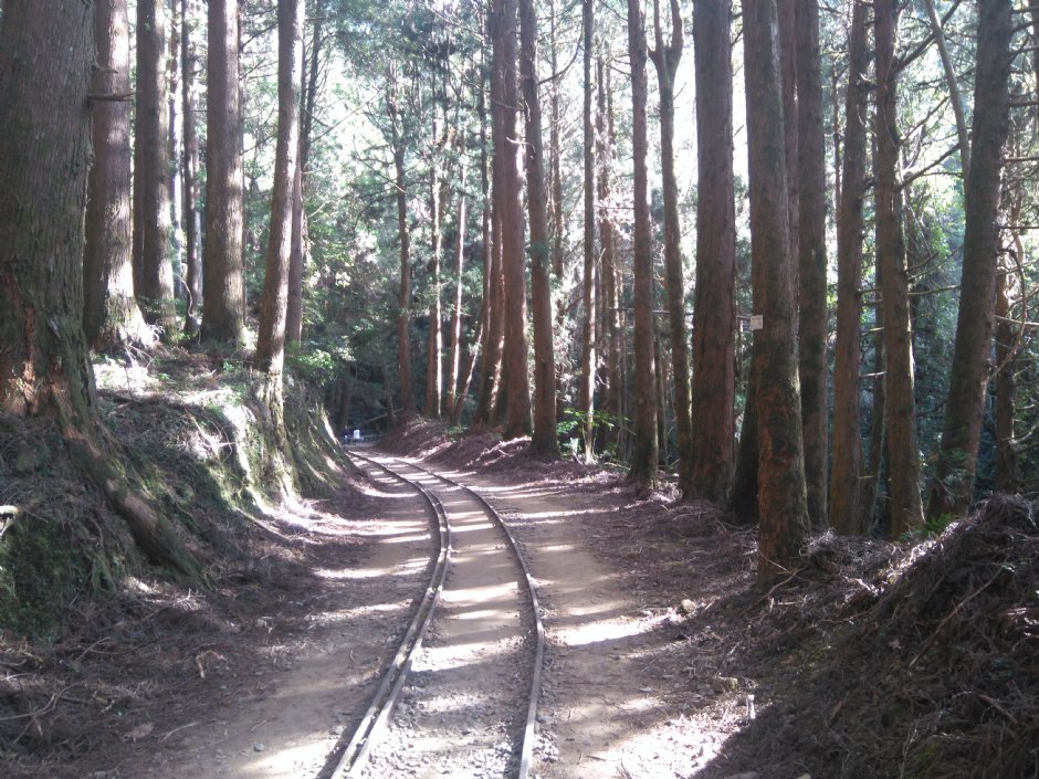 特富野古道 攝影：Lu