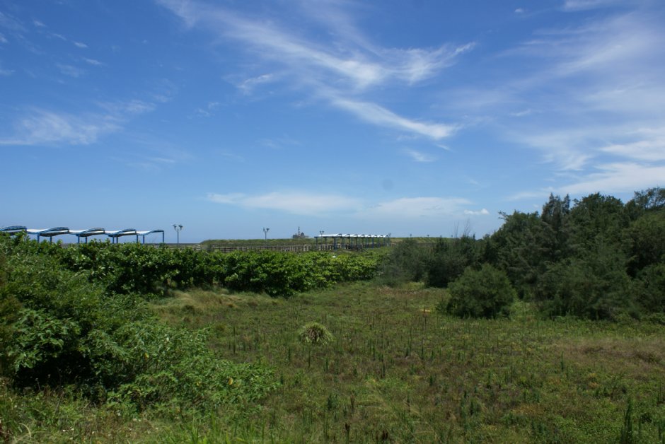看海公園 攝影：Eva隨手拍