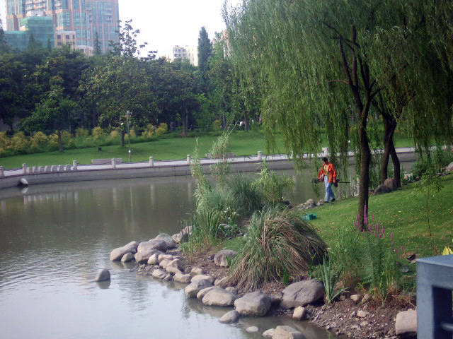 公園-湖景 攝影：崔斐