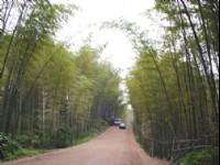翡翠長廊-03<br/> 攝影：四川旅遊信息網