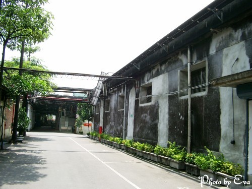 酒廠道路 攝影：EVA隨手拍
