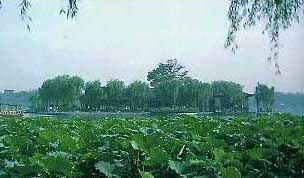 大明湖-1 攝影：四川旅遊信息網