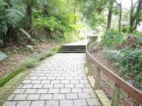 慈恩塔步道<br/> 攝影：Eva隨手拍
