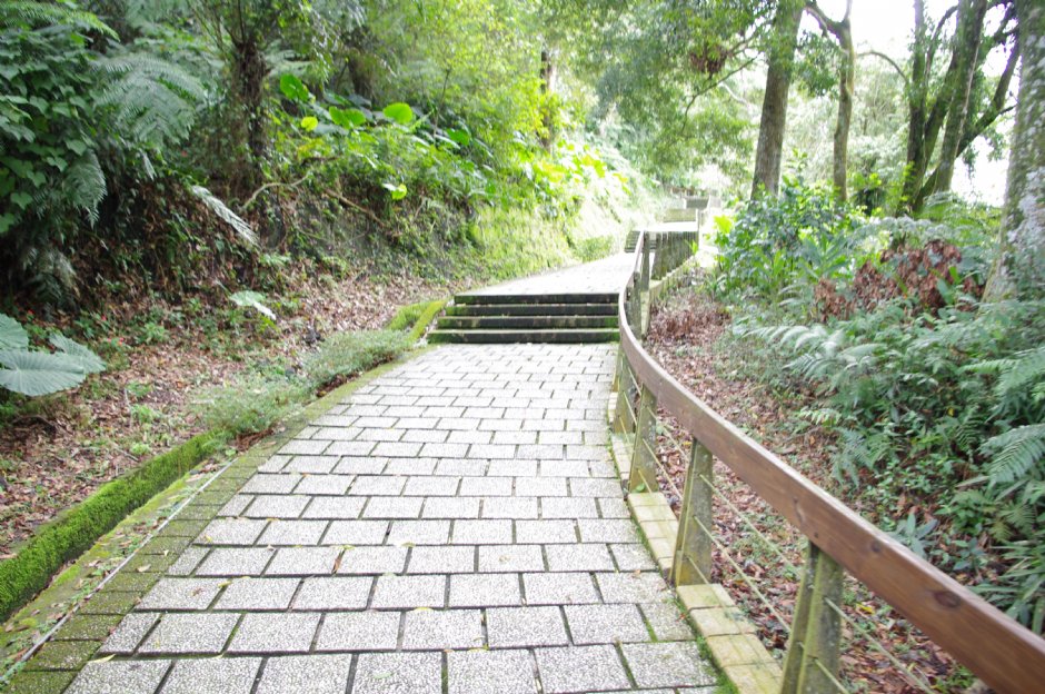 慈恩塔步道 攝影：Eva隨手拍