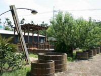 鶴崗村的柚子觀光果園<br/> 攝影：老山羊部落格