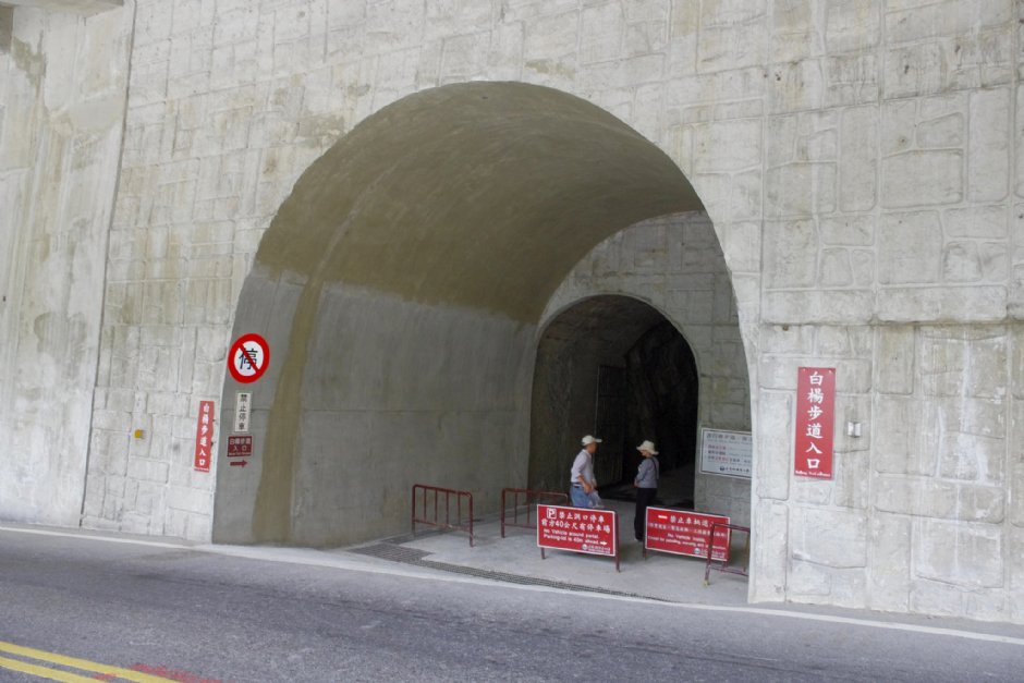 白楊步道入口 攝影：Eva隨手拍