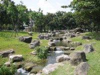 原生植物園<br/> 攝影：三井