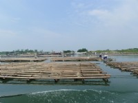 台江生態觀光遊四草湖<br/> 攝影：Mimi