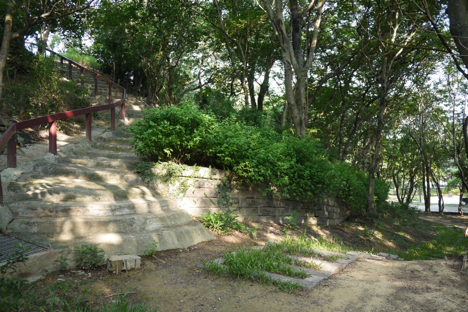 獅山步道 攝影：三井