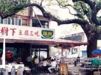 集順廟大樹下<br/> 攝影：餐飲名店情報