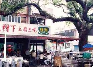 集順廟大樹下 攝影：餐飲名店情報