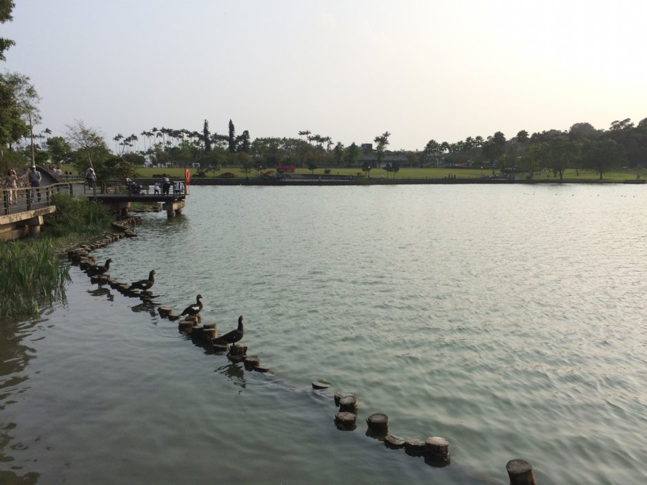 龍潭湖 攝影：Eva隨手拍