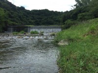 白鮑溪親水園區<br/> 攝影：Eva隨手拍