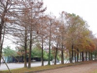 羅東運動公園<br/> 攝影：Eva隨手拍