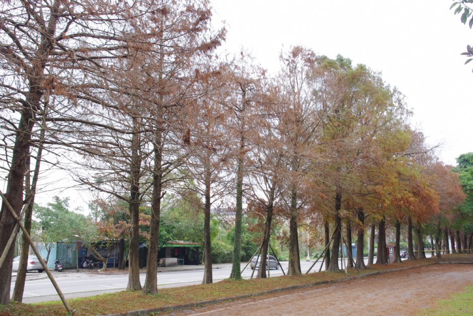 羅東運動公園 攝影：Eva隨手拍