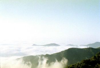 美麗雲海 攝影：呂玫瑢