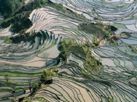 霸達村梯田<br/> 攝影：金漢妮旅行社