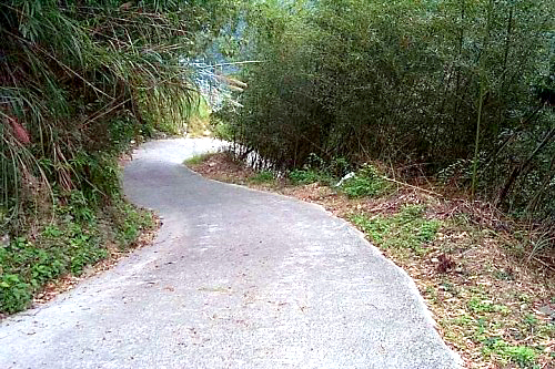 嘎拉賀部落的產業道路 攝影：阿華