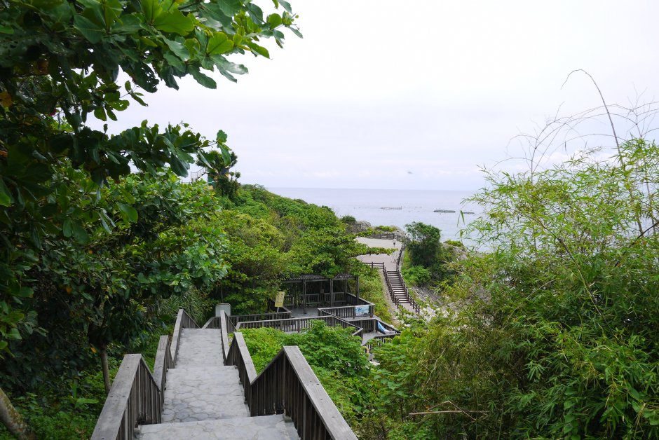 美人洞往海邊步道 攝影：三井