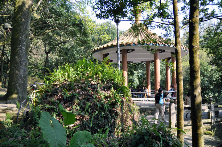 陽明公園 攝影：amo