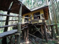 森林小屋<br/> 攝影：簡時強
